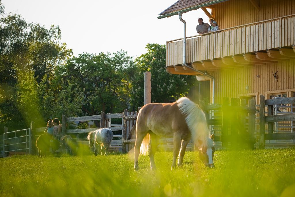 Bauer & Wirt Langthaler Villa Emmersdorf an der Donau Ngoại thất bức ảnh